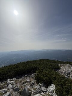 Fotografija s spletne strani Nico ?️ na poti