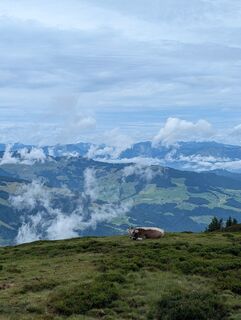 Fotografia z Lars Vogelbein na trase