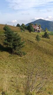 Foto da Andrea G lungo il tour