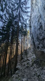 Fotografie de la Klaus Lehner de-a lungul turului
