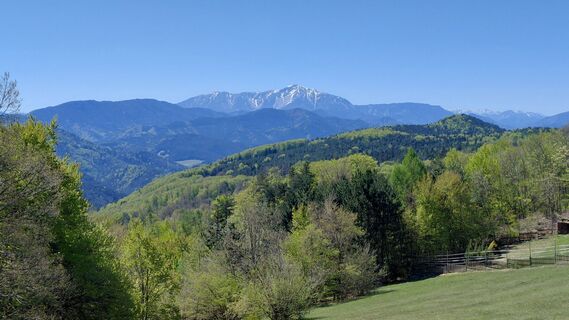 Fotografie z Johann Neubauer na trase