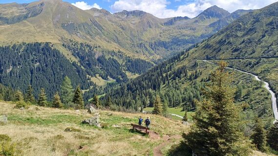 Foto von Gugans entlang der Tour