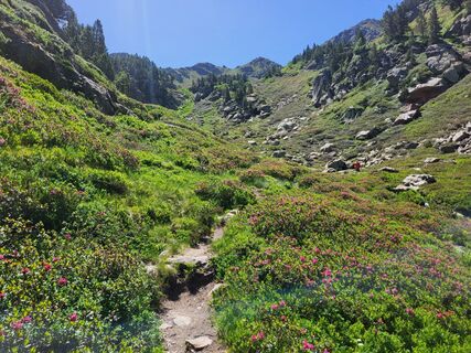 Photo de Nicolas Canal le long du parcours