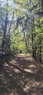 Leutschach an der Weinstraße, Steiermark/Österreich