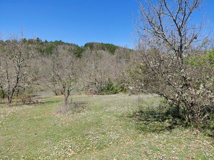Foto de Giovanni Ciafro a lo largo del recorrido