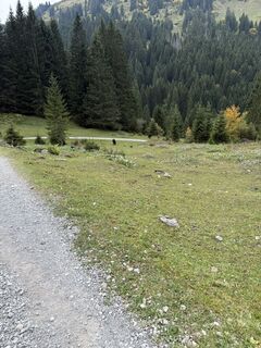Photo de Philippwuerzinger123 le long du parcours
