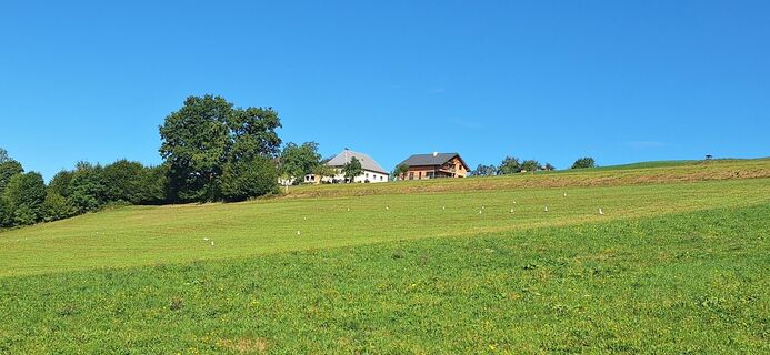 Foto von Klaus-GM entlang der Tour