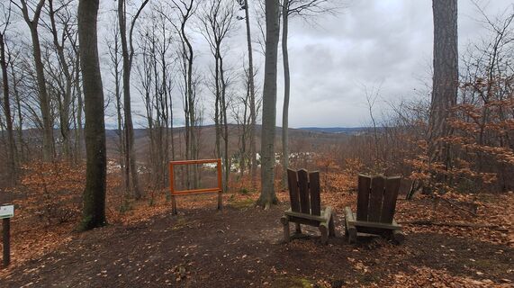 Zdjęcie z Regina Fleischmann wzdłuż trasy