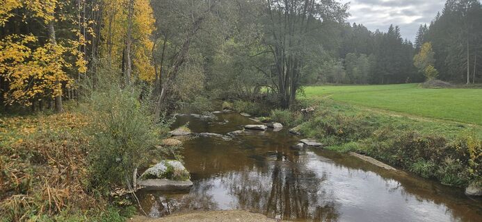 Fotografia z Berni_S na trase