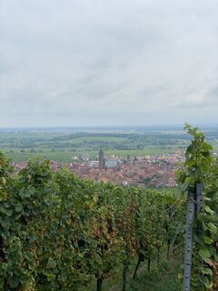 Foto von lotharkoerner entlang der Tour