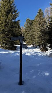 Foto von ROBERTO BONIOTTI entlang der Tour