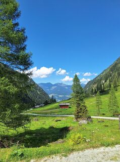 Fotografija s spletne strani Stefan Lemberger na poti