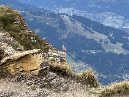 Photo de Niels Kooijman le long du parcours