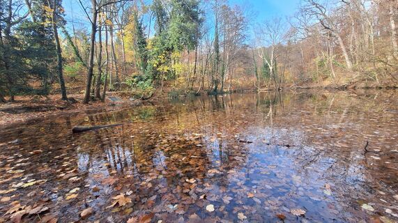 Foto von Regina Fleischmann entlang der Tour