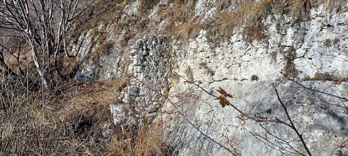 Foto fra pat59a60 underveis på turen