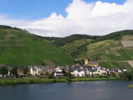 Blick auf Zeltingen-Rachtig