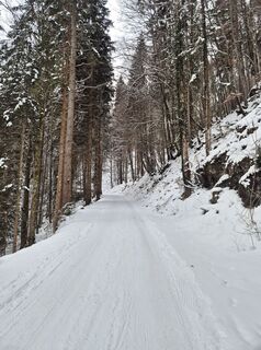 Photo de Arnulf Müller le long du parcours