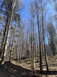 Fotografie z Miczur na trase