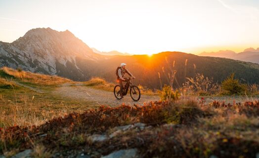 ebike-golzentipp-bergwiesentrail-herbst23-c-peter-maier-3_TVB Osttirol_Peter Maier_Obertilliach.jpg
