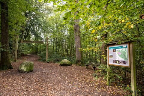 Fitnesspfad am Boxberg