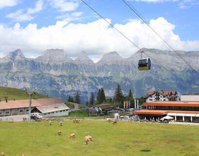 Molseralp, Tannenboden