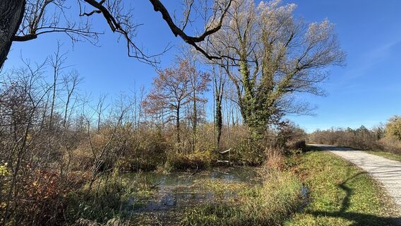 Foto von Carlo entlang der Tour