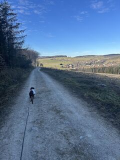 Foto von Car Wanderfreude entlang der Tour