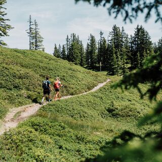 Auf dem Weg am Saalachtaler Höhenweg Ost
