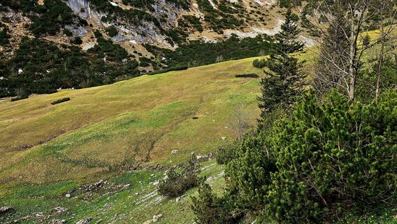 Photo de se_muck le long du parcours