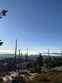 Fotografie z Egon Dullinger na trase