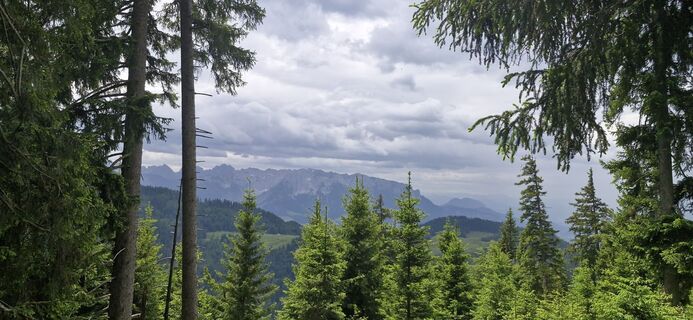 Photo de Heidi L le long du parcours
