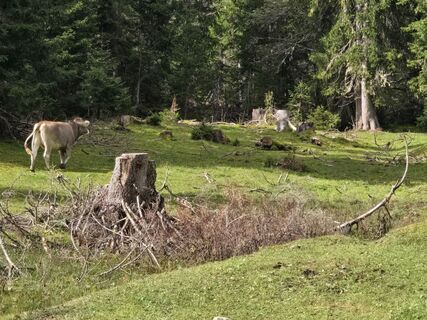 Fotó a Axel Ehrler honlapról a túra során
