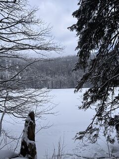 Foto från tomzer under resans gång