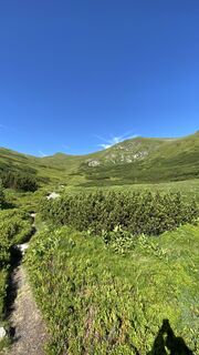 Foto fra Schabsi undervejs på turen