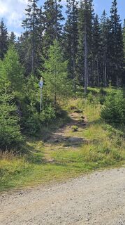 Foto von Susanne19 entlang der Tour