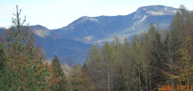 Aufstieg zur Gschwendhütte/Linsberg