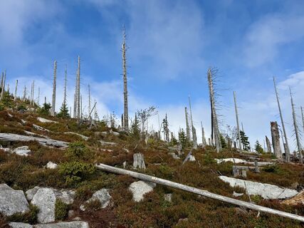 Photo de Dani Geiger / Natur_erleben_dg le long du parcours