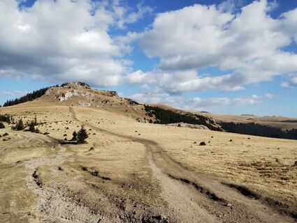 Fotografija s spletne strani Tasurinki Mitote na poti