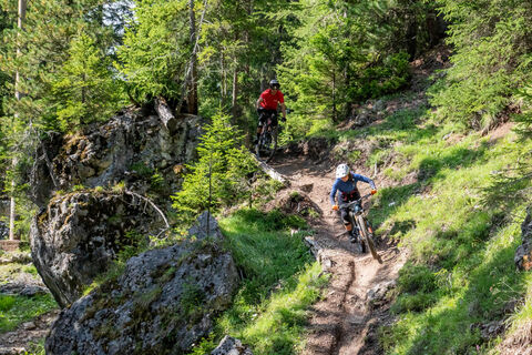 9,90 - Fassa Bike Park Canazei - ©Archivio APT Val di Fassa
