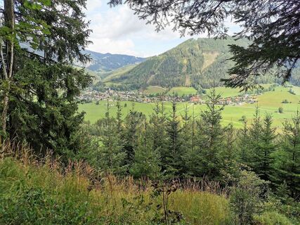 Blick nach Tragöß - Oberort