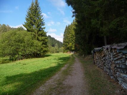 Eingang ins Eichbachtal