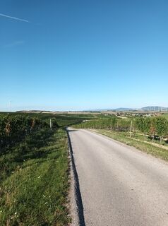 Fotografia z Gürtler Lubomir na trase