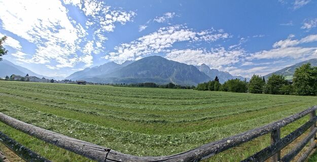 Foto von Mangolein entlang der Tour