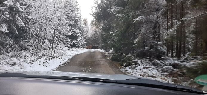 Fotografie de la Georg Meisterjahn de-a lungul turului