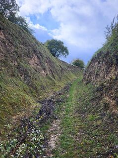 Foto de Anke Hetzer a lo largo del recorrido