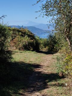 Foto von Kea Falkenauge entlang der Tour