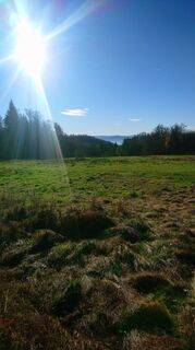 Foto von Betzenbergfex entlang der Tour