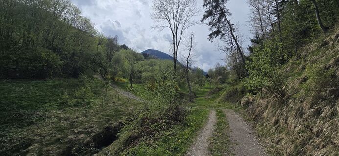 Photo de ThomasBauer le long du parcours