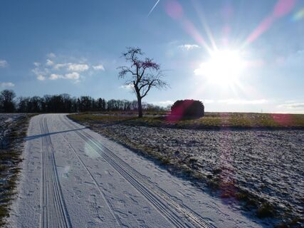 Milchsäules-Rundweg