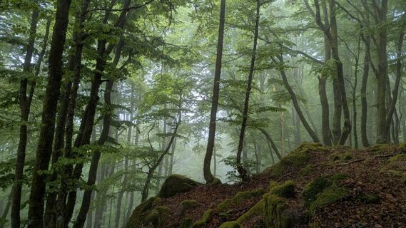 Photo de Richard Schwald le long du parcours